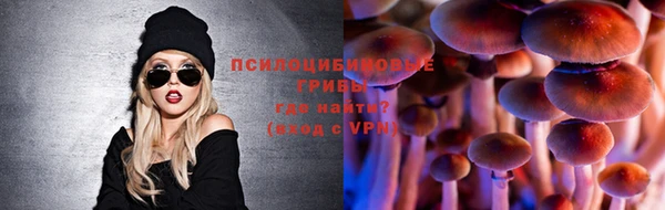 круглые Аркадак