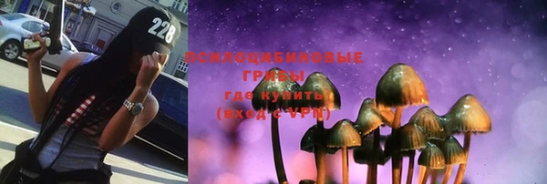 дмт Армянск
