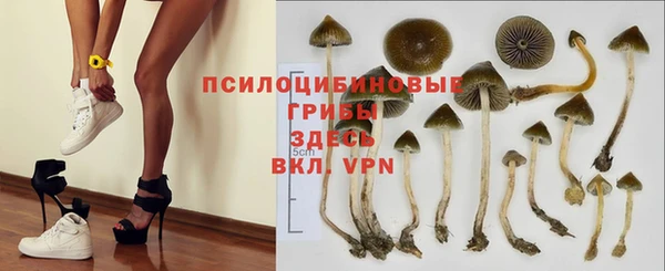 дмт Армянск
