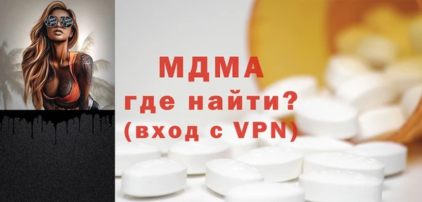 хмурый Арсеньев