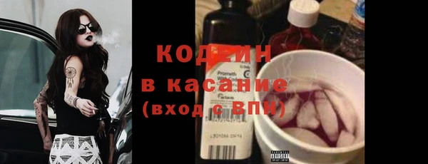хмурый Арсеньев