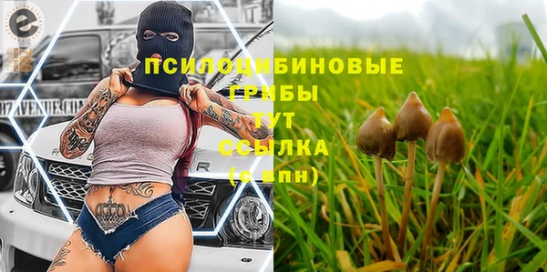 круглые Аркадак