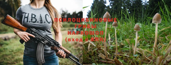 дмт Армянск