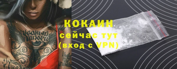хмурый Арсеньев