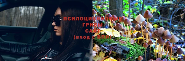 дмт Армянск