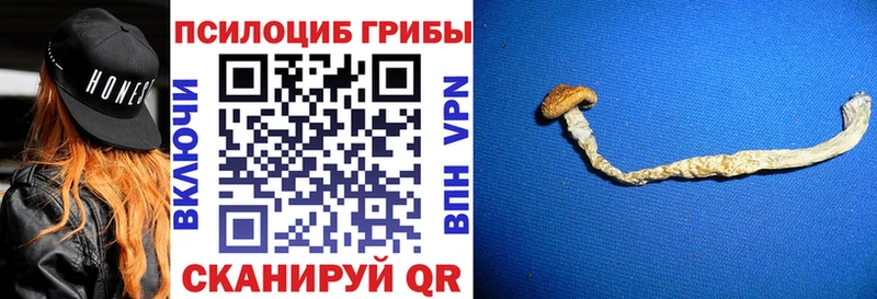 Купить где  Мезень  Псилоцибиновые грибы GOLDEN TEACHER 