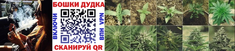 Купить закладки Мезень Шишки марихуана конопля